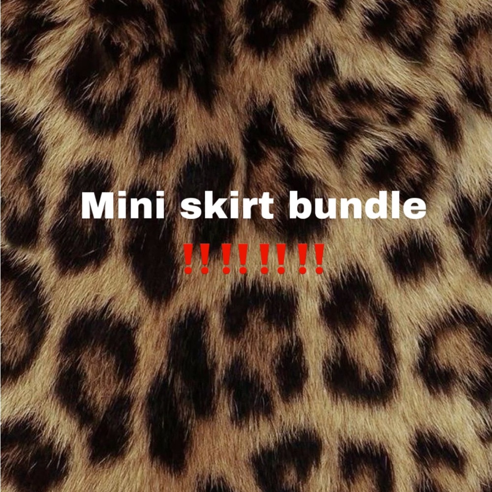 Petite skirt bundle